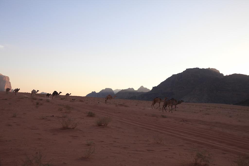 Bedouin Expedition Wadi Rum Esterno foto