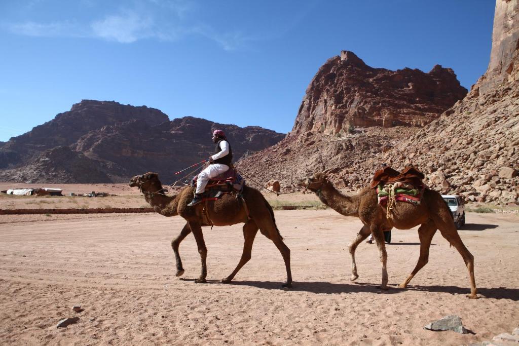 Bedouin Expedition Wadi Rum Esterno foto