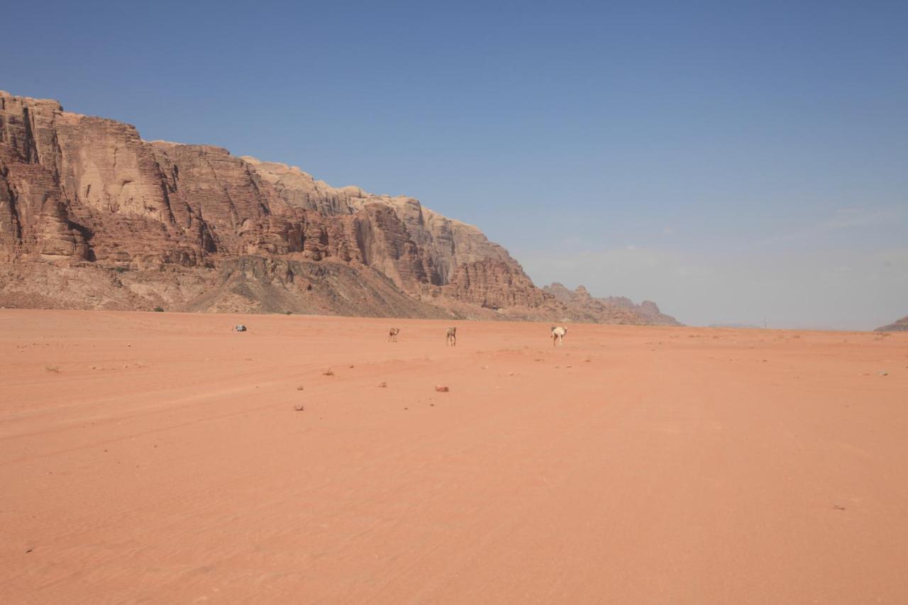 Bedouin Expedition Wadi Rum Esterno foto